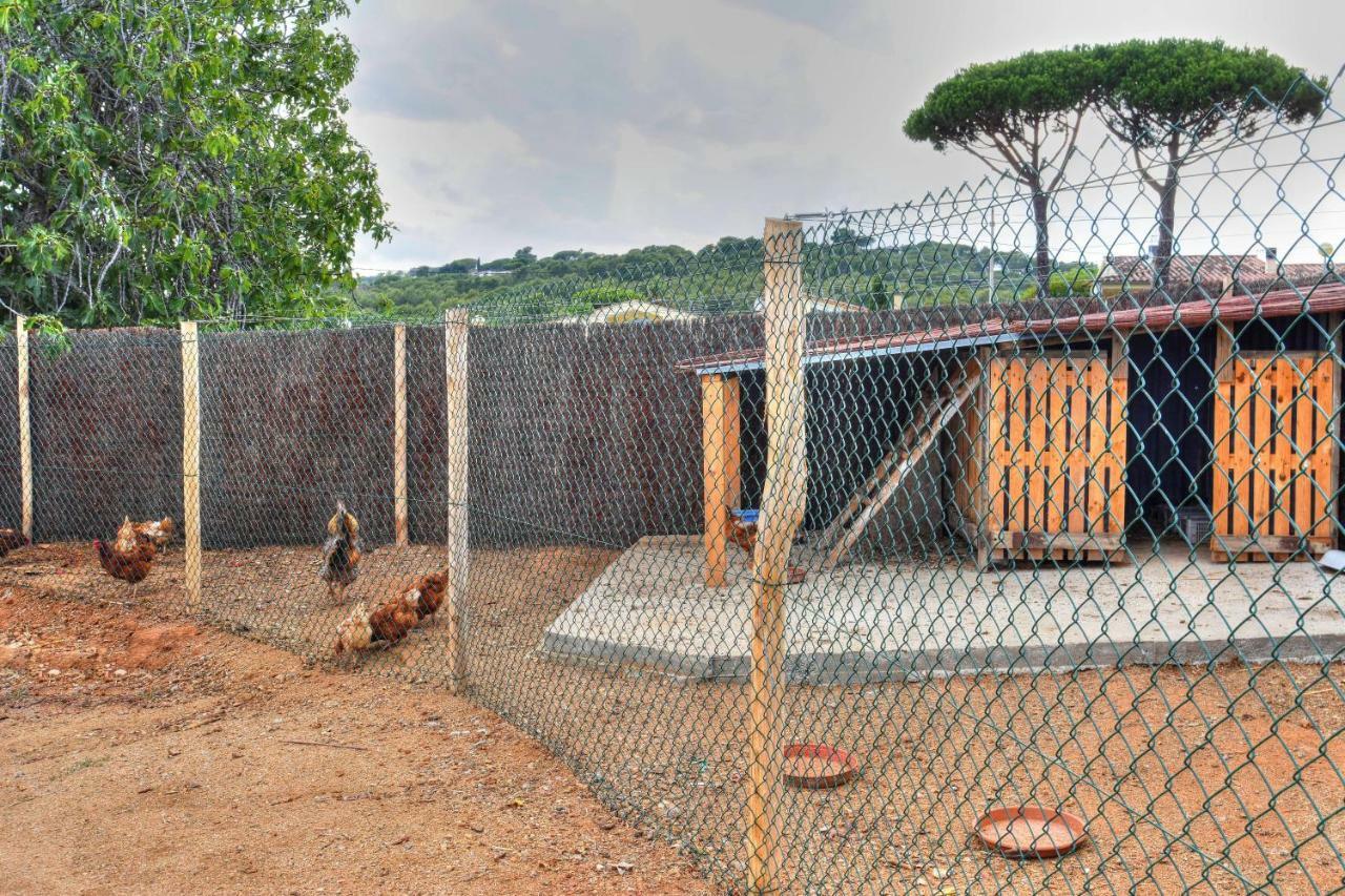 Masia Cal Ros S'Agaro Kültér fotó